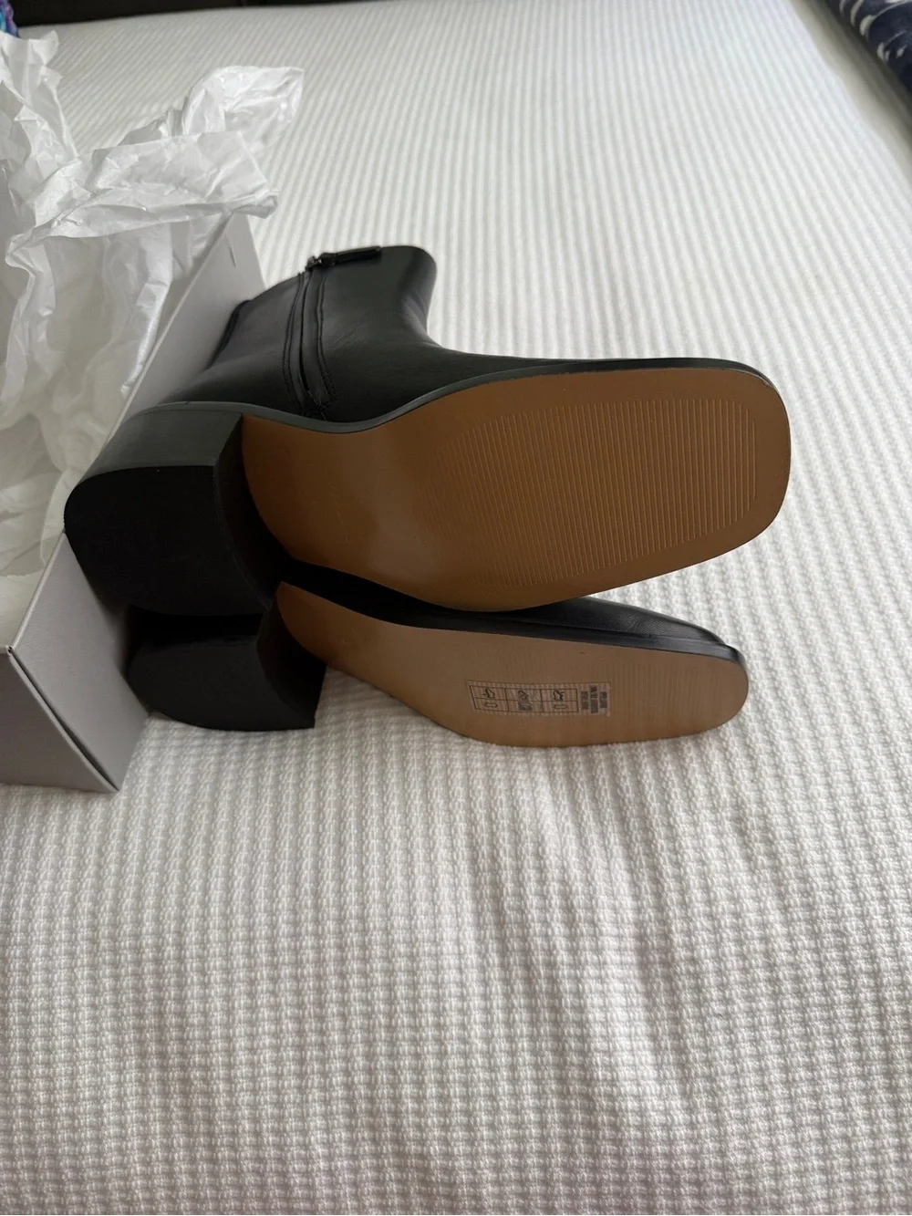 Everlane Black Leather Zip Ankle Boots